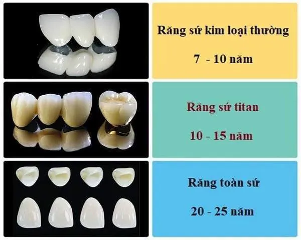Cấu tạo và đặc điểm